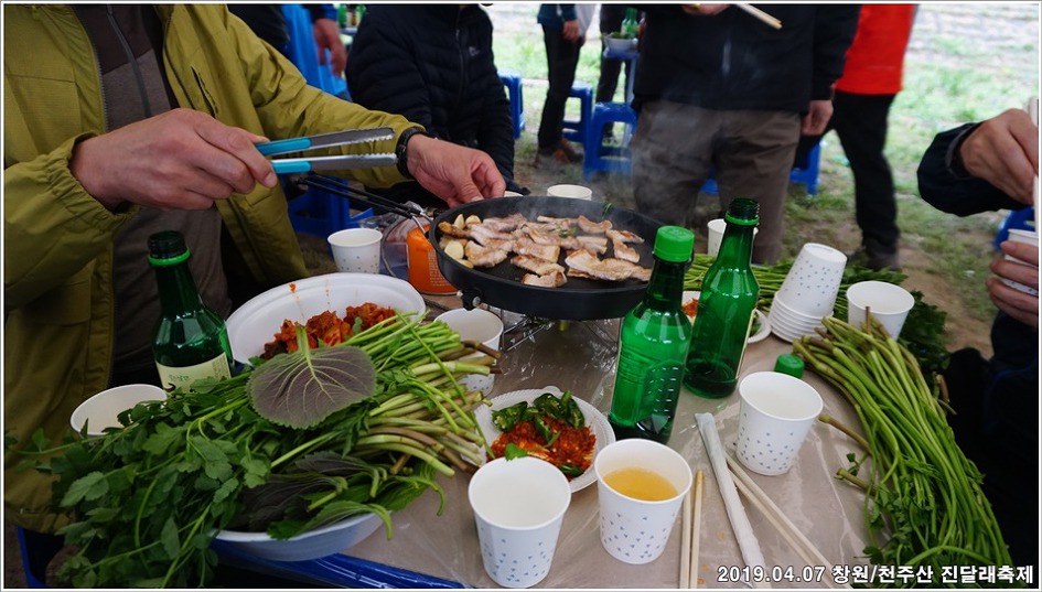 창원/천주산 진달래축제 - 남지 유채단지