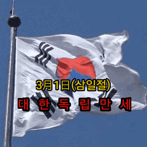 삼일절 100주년