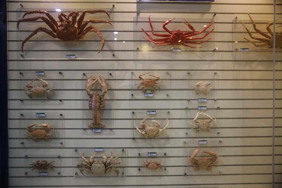 거제 조선 해양문화관 / 거제 여행