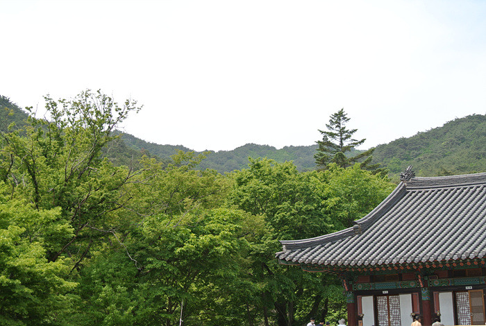 원본이미지(클릭)