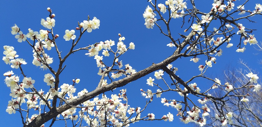 수경신 守庚申 2019.03.24