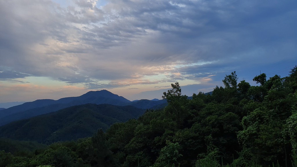 산천초목 이미지