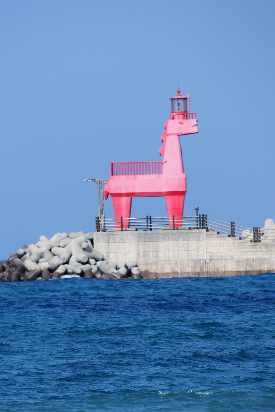[제주도]  이호테우 해변 목마 풍경   (20190123)