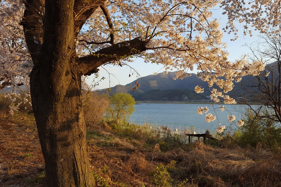 기차 타고 등산