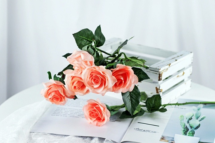 995436475E69C78E250FA7