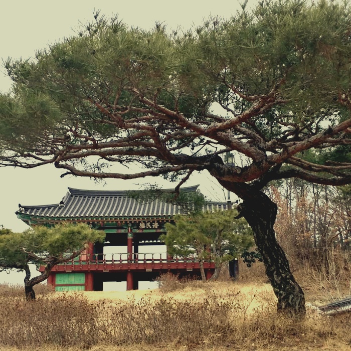 영주선비도서관 특강-패션의 시작은 당신의 몸에서부터 