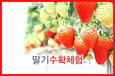 9959B03A5AB899D40D4C9E