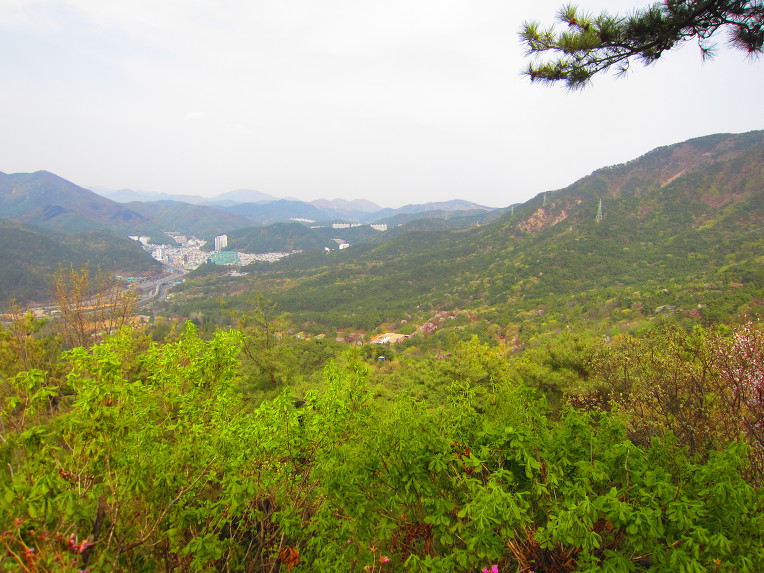 부산 해운대 장산(2019. 04. 08)