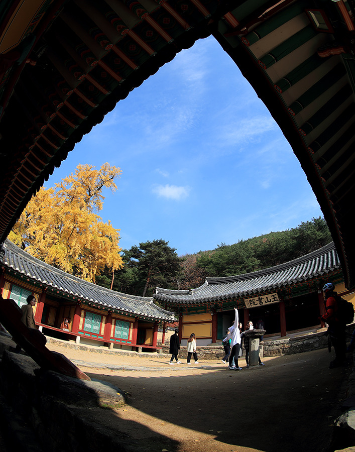 [사적 제154호  경주 옥산서원] DPAK(한국디지털사진가협회) 경북지부 회원들과 옥산서원으로 가다 / 토함