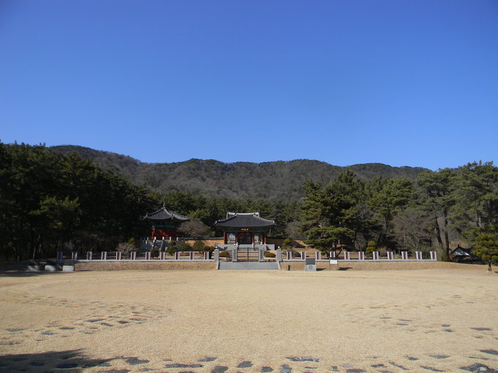 대전 수운교 마무리 (수운교 봉령각, 소나무숲길)