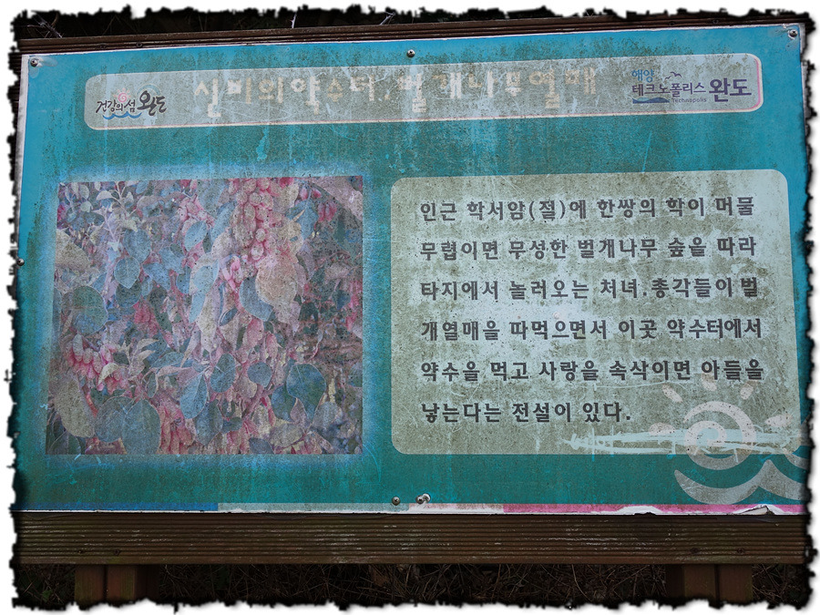 조망이 황홀한 섬산행 생일도