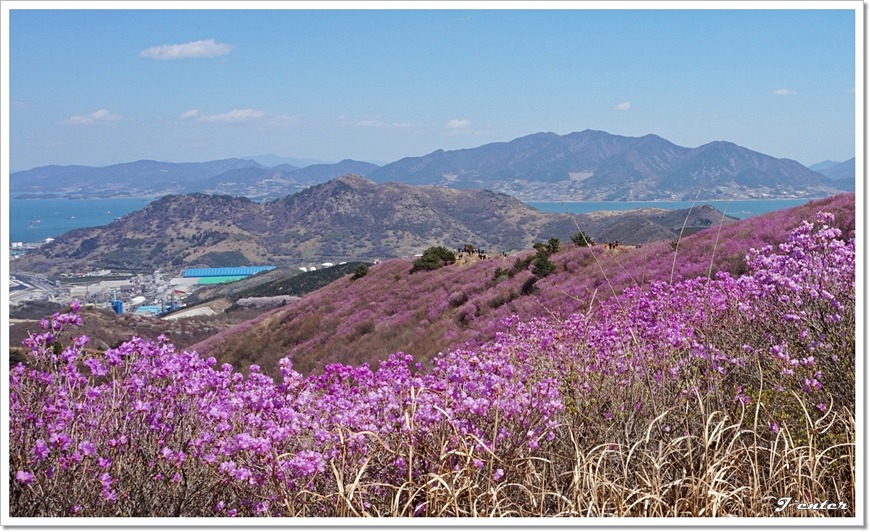 여수 진달래꽃 산행 명산 - 영취산 등산코스