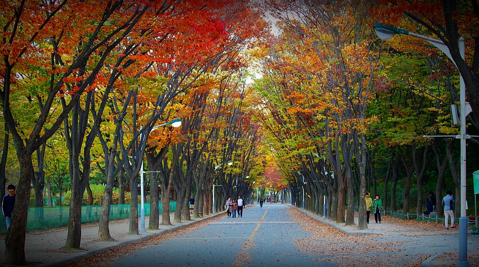 만추의 풍경