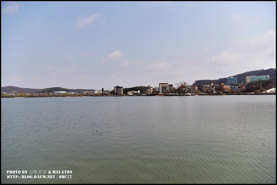 [경기화성] 보통리 저수지 산책로 풍경!