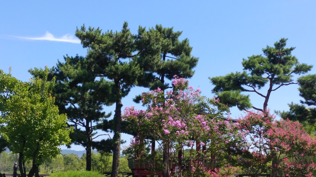 대전 한밭수목원-동원