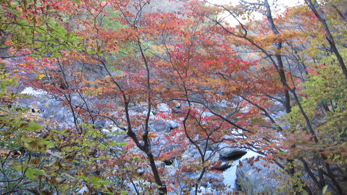 지리산 피아골 단풍 산행기