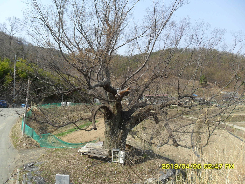 김천 부항댐 둘레길 20km