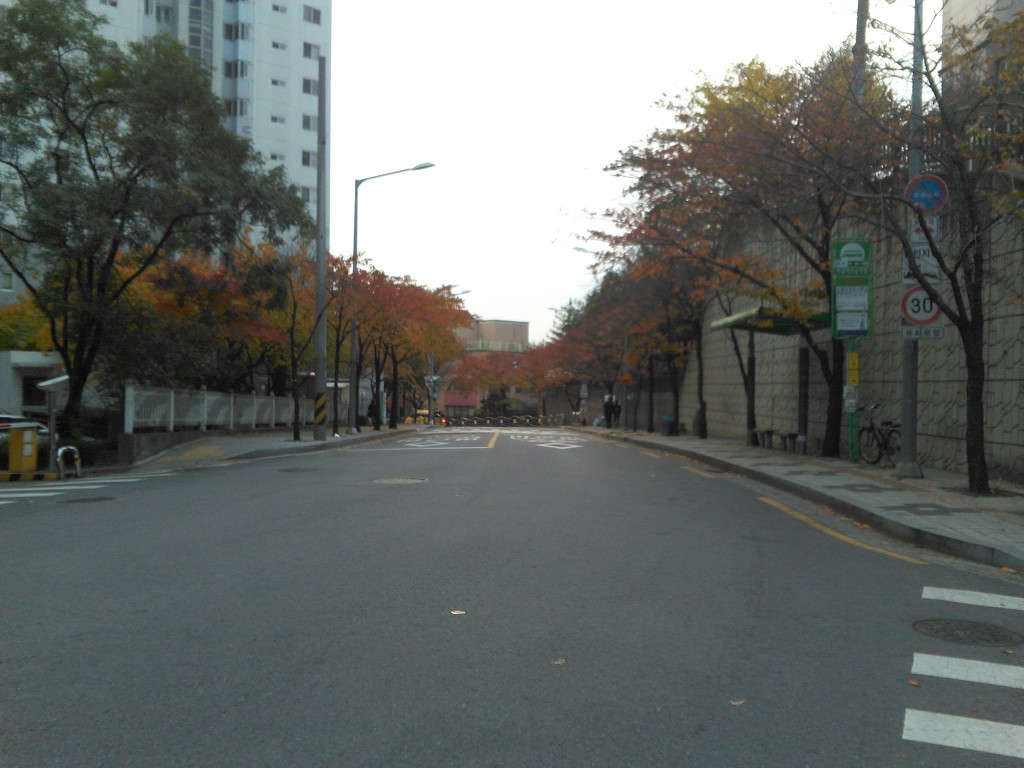 17.11.13(月)