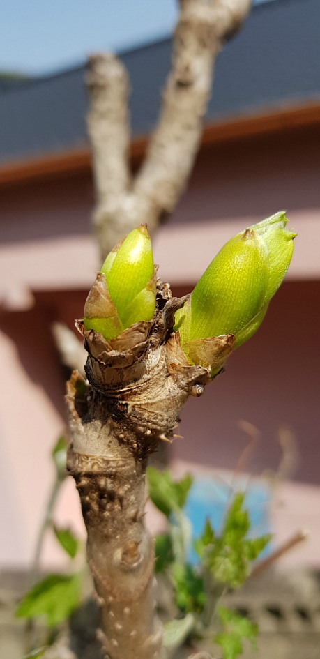 문수산 2019-04-06
