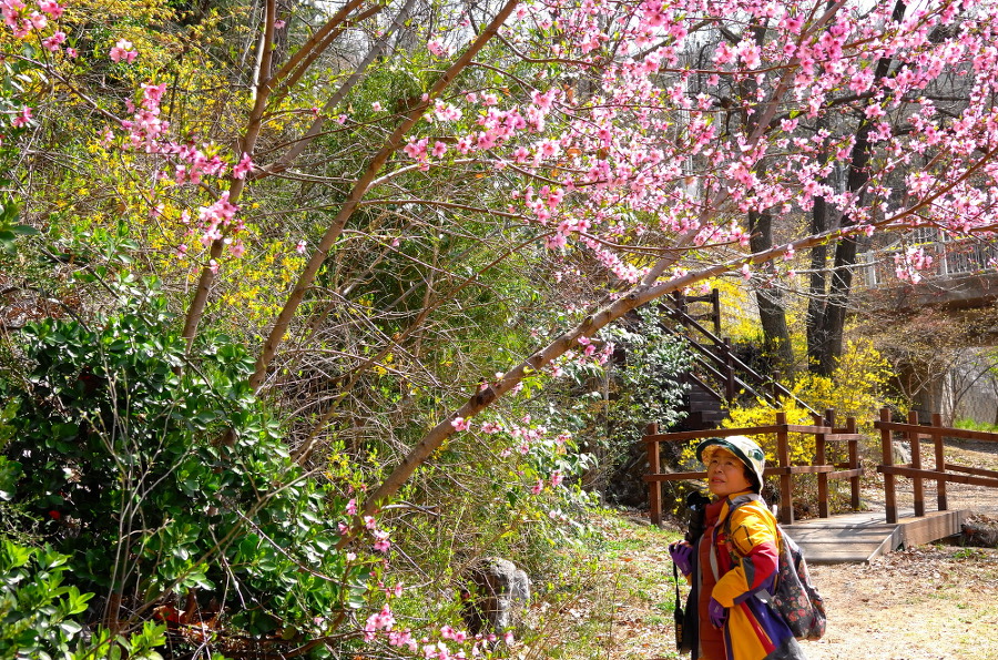 앞산 공원 답사