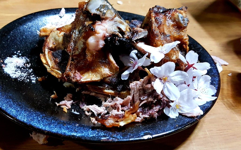 벚꽃 그리고 밤