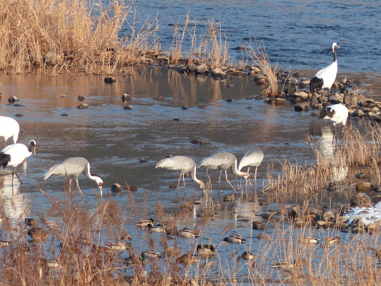 99EFFB485DF700B5373F1E