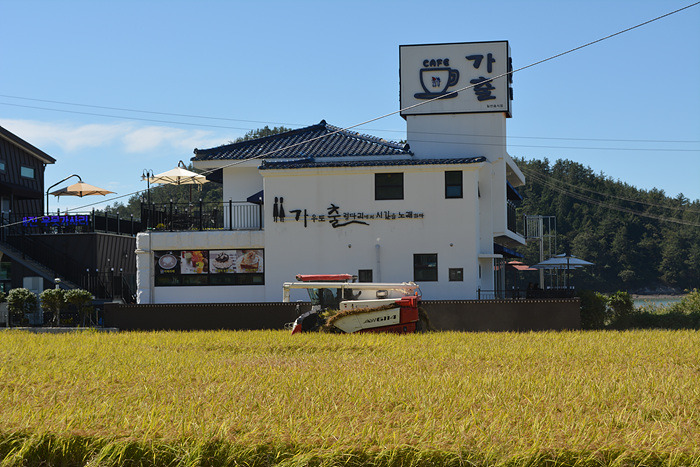 원본이미지(클릭)